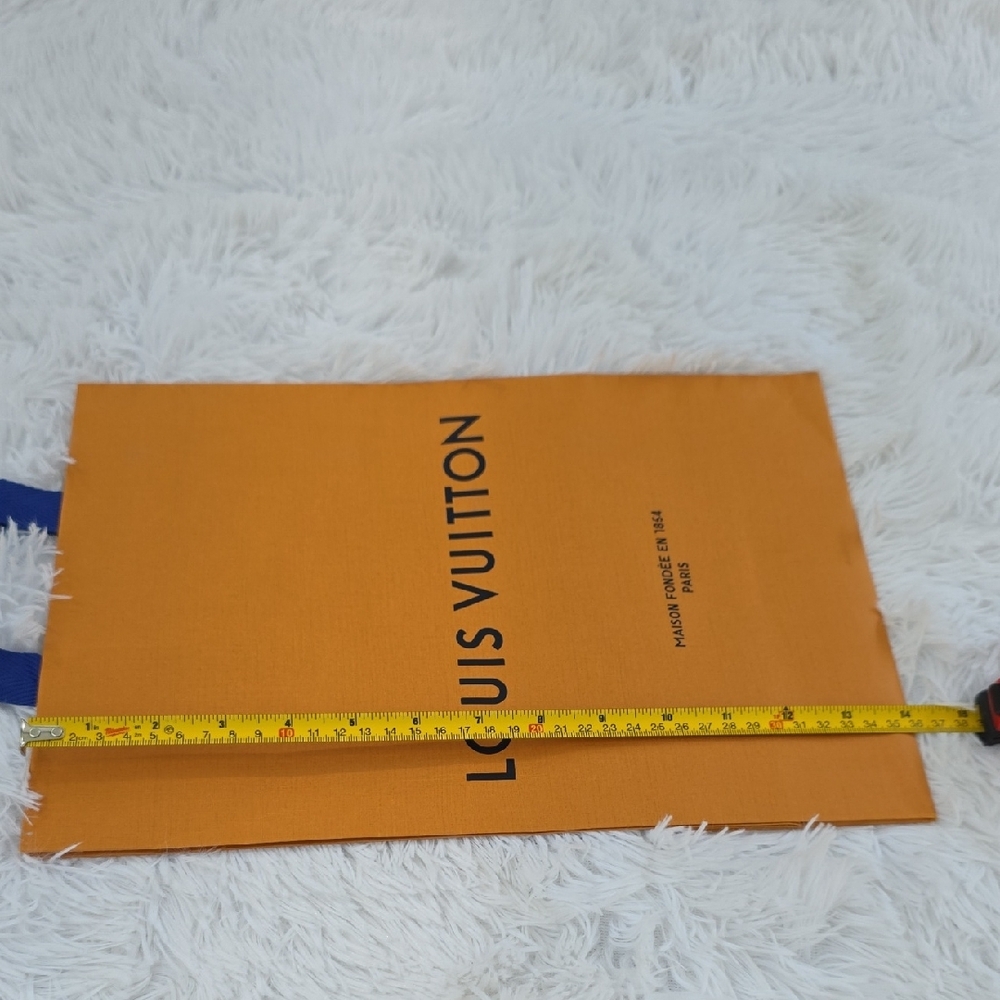 Authentic Louis Vuitton Used Paper Bag - Picture 4 of 9
